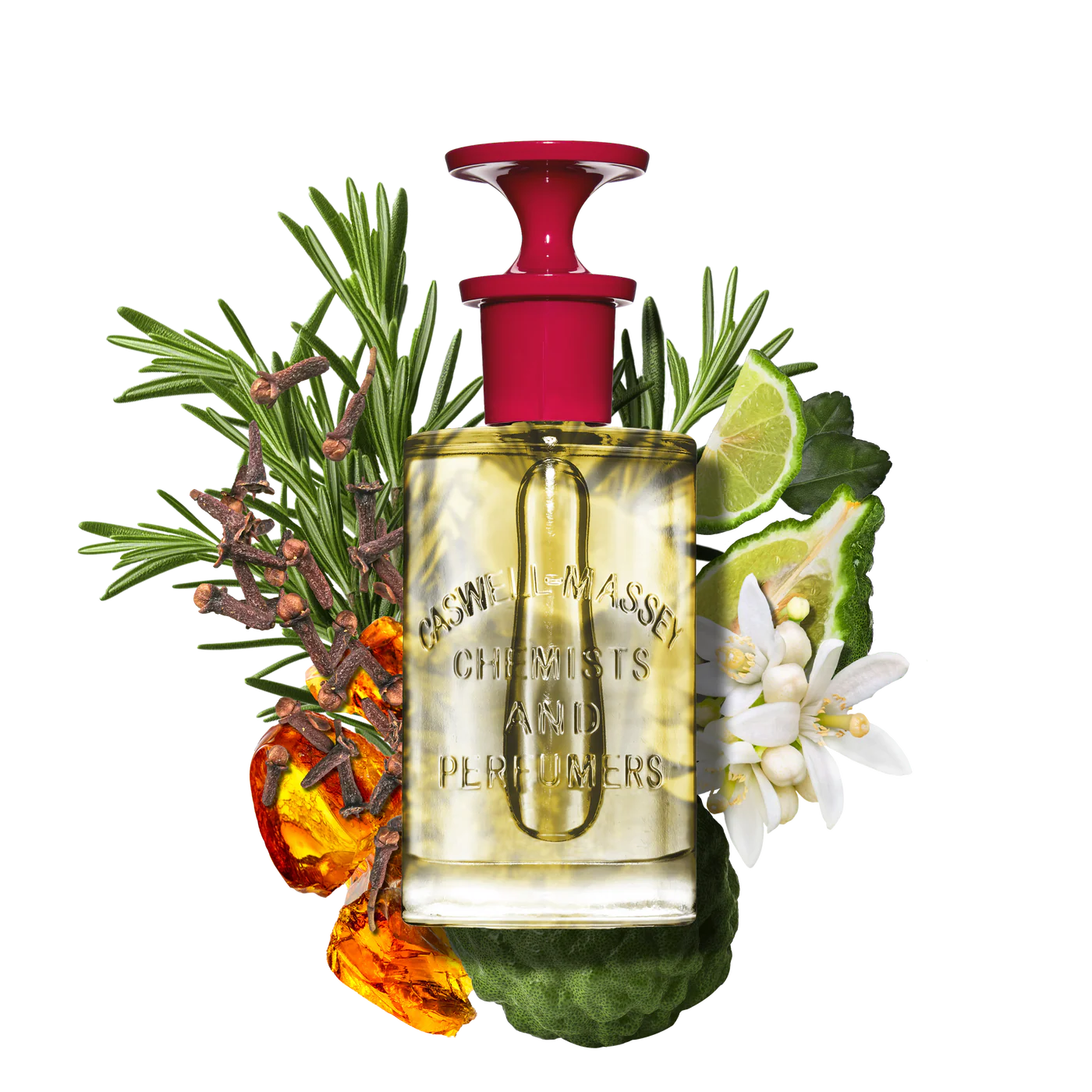 Caswell Massey Number Six Luxury Eau de Parfum (100ml/3.4 oz)