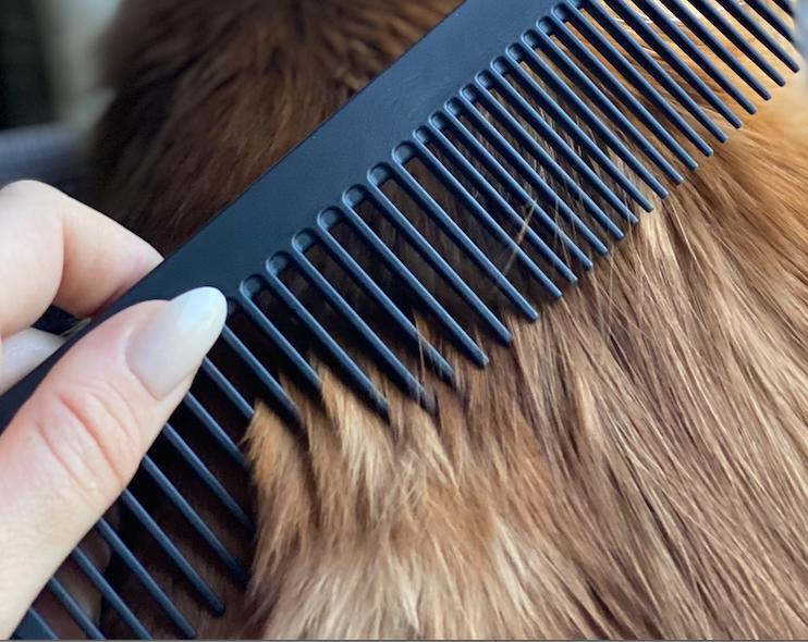 Chicago Comb Co. - The Pet Comb