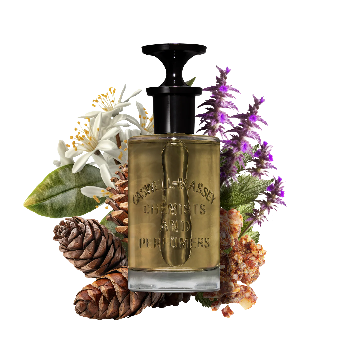 Caswell Massey Oaire Luxury Eau de Parfum (100ml/3.4 oz)