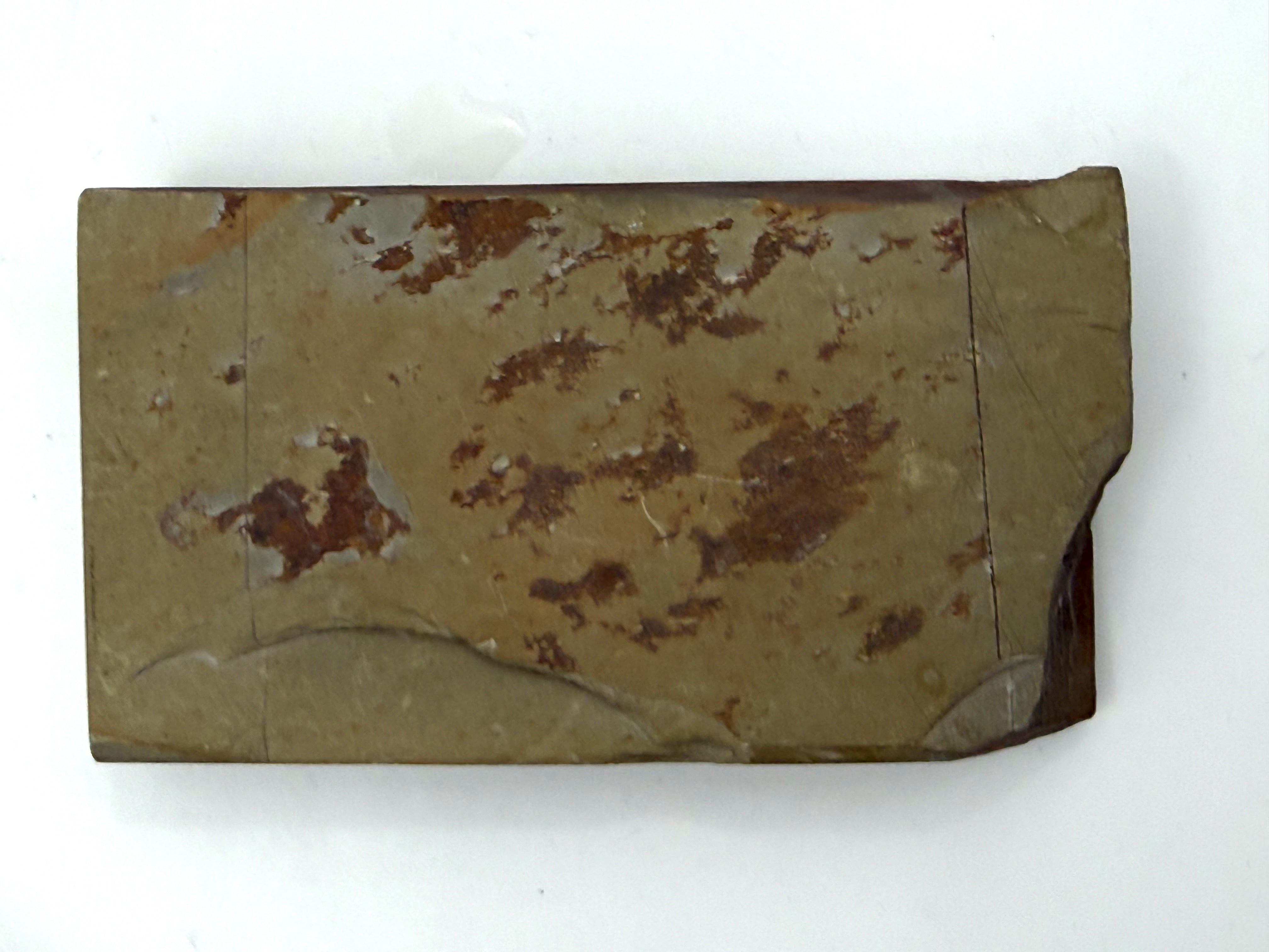 Wakasa Mizu Asagi Japanese Natural Finishing Whetstone