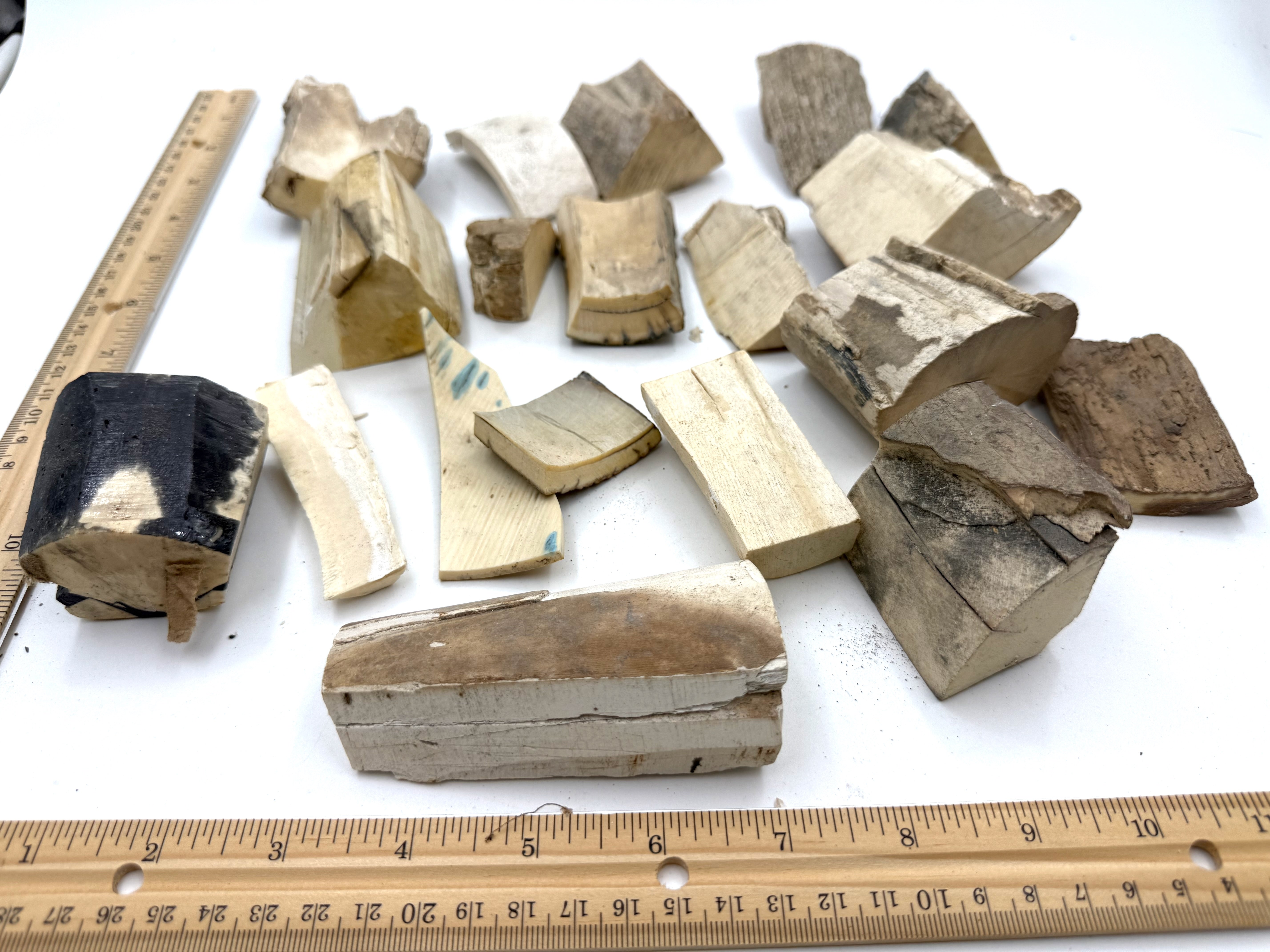 Lot of Mammoth Ivory Scrap #8 (1340g)