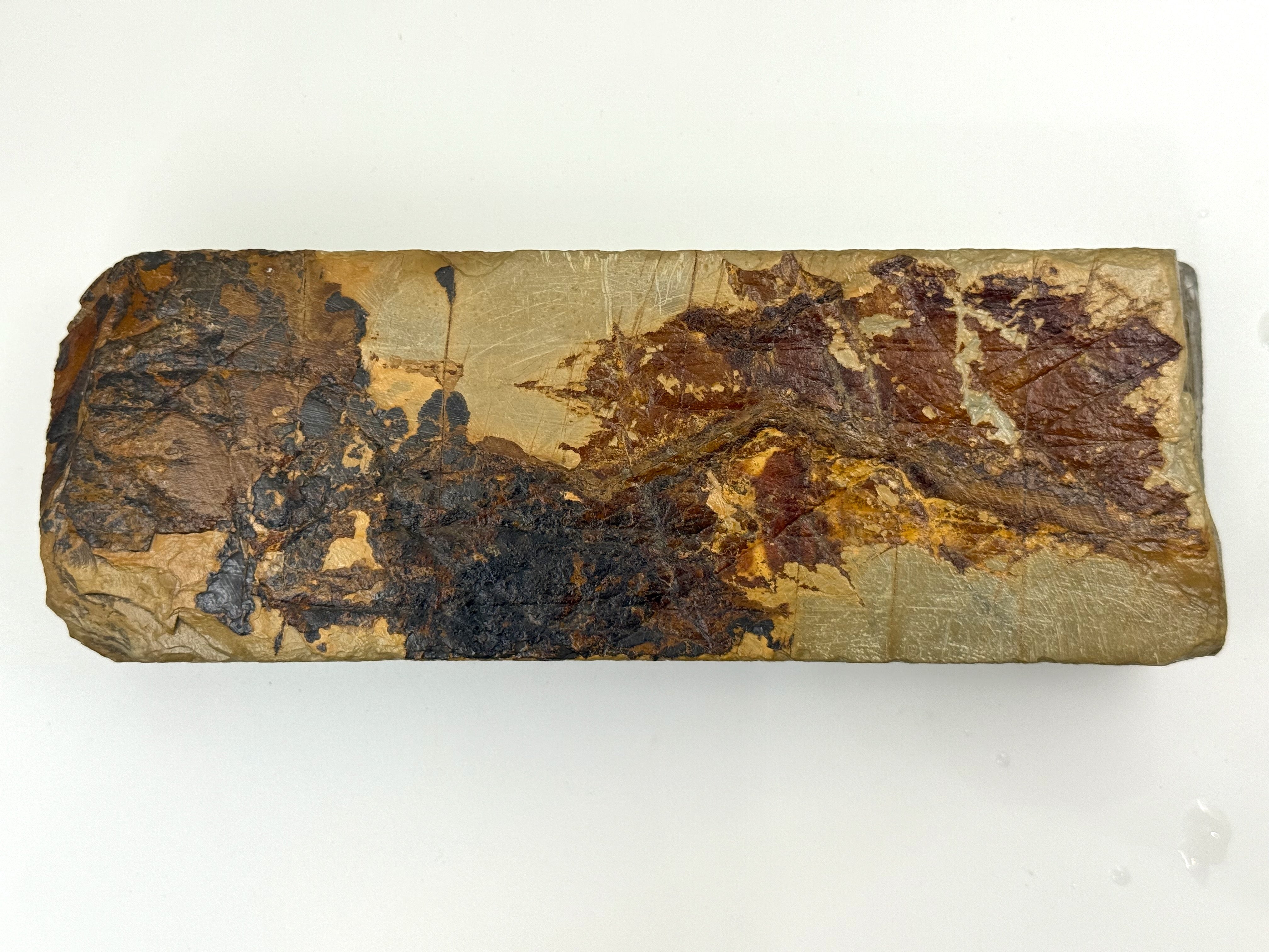 Shobudani Mizu Asagi Kan Japanese Natural Finishing Whetstone