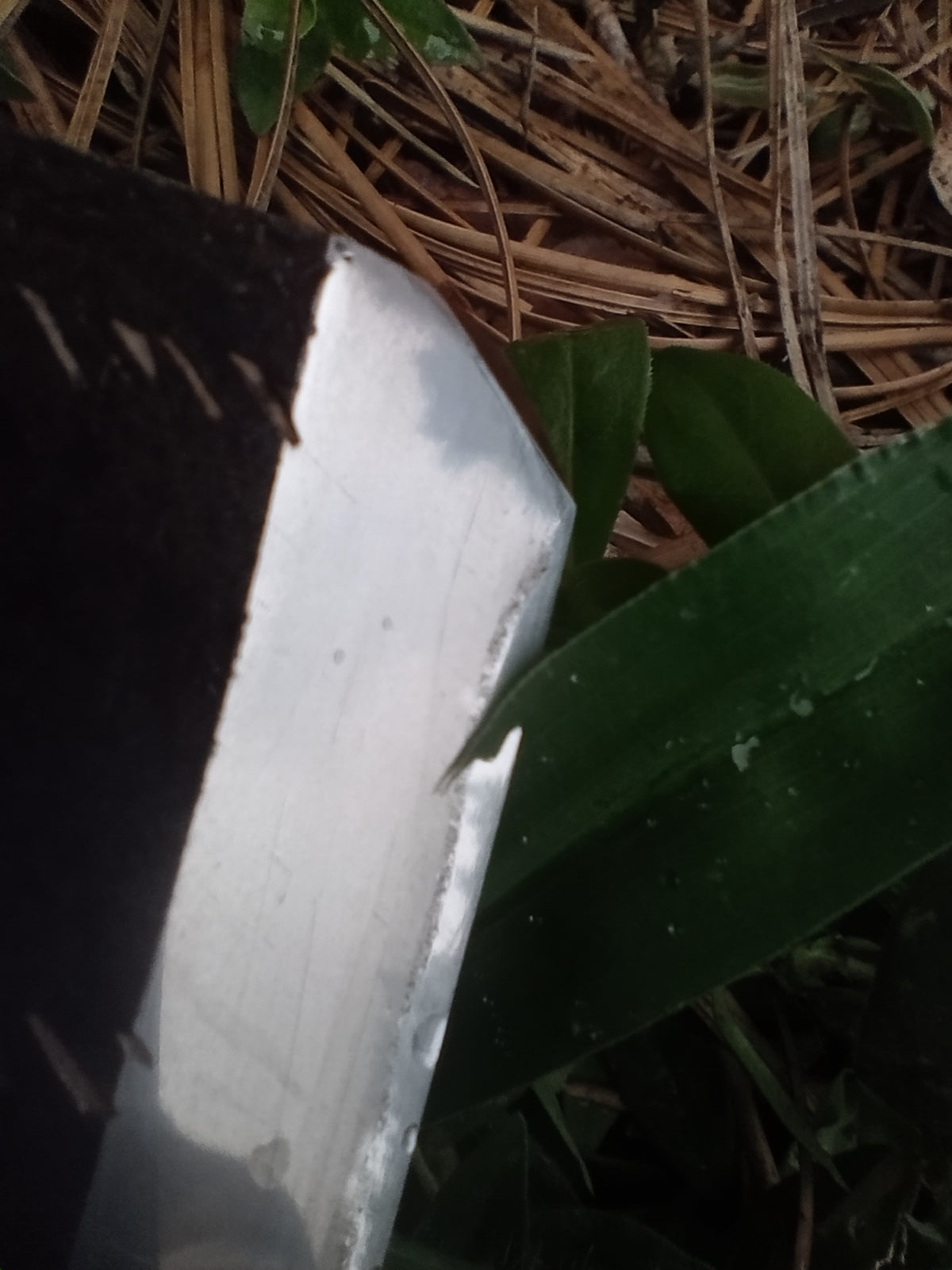 Nakayama Tomae Asagi Koppa Japanese Finishing Whetstone