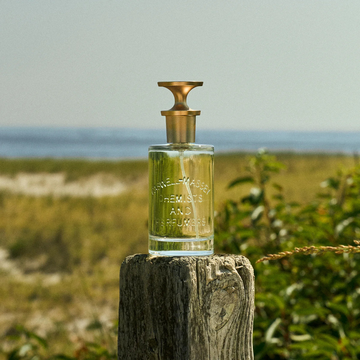 Caswell Massey Seaboard Matcha Eau de Parfum