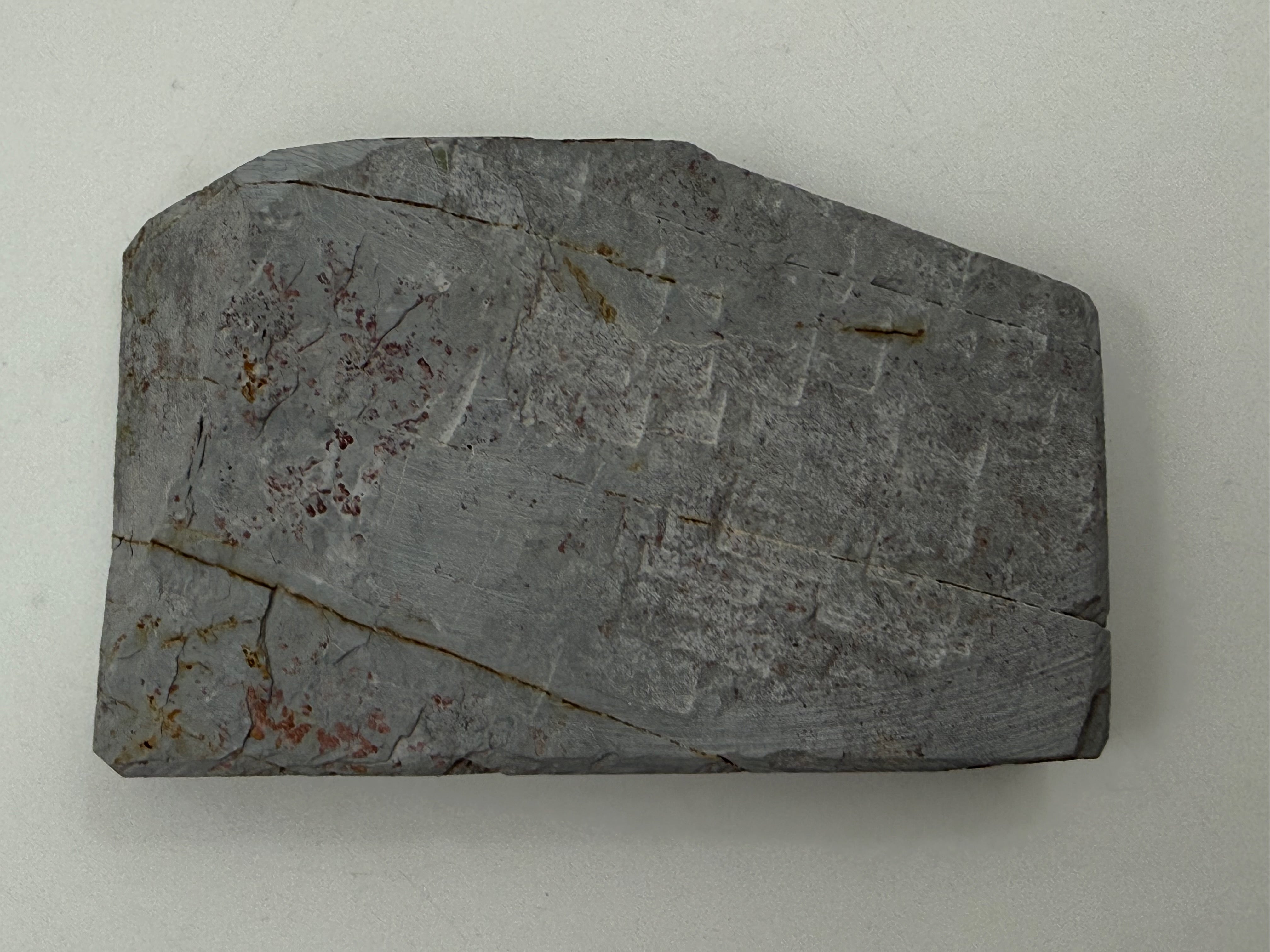 Mizukihara Uchigumori Koppa Japanese Natural Whetstone