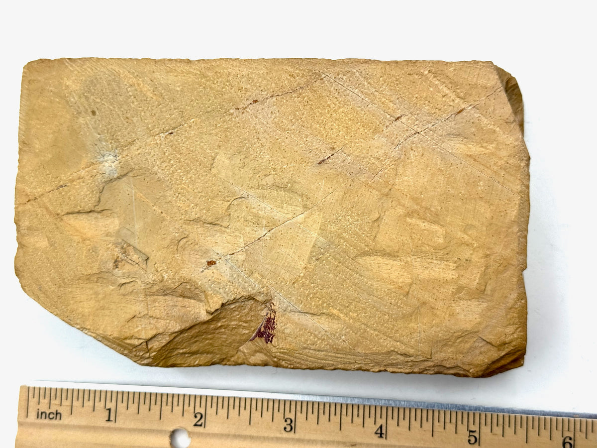 Nakayama Maruka Kiita Tamagoiro Kuramaguchi (Kato Era) Very Rare Japanese Natural Finishing Whetstone