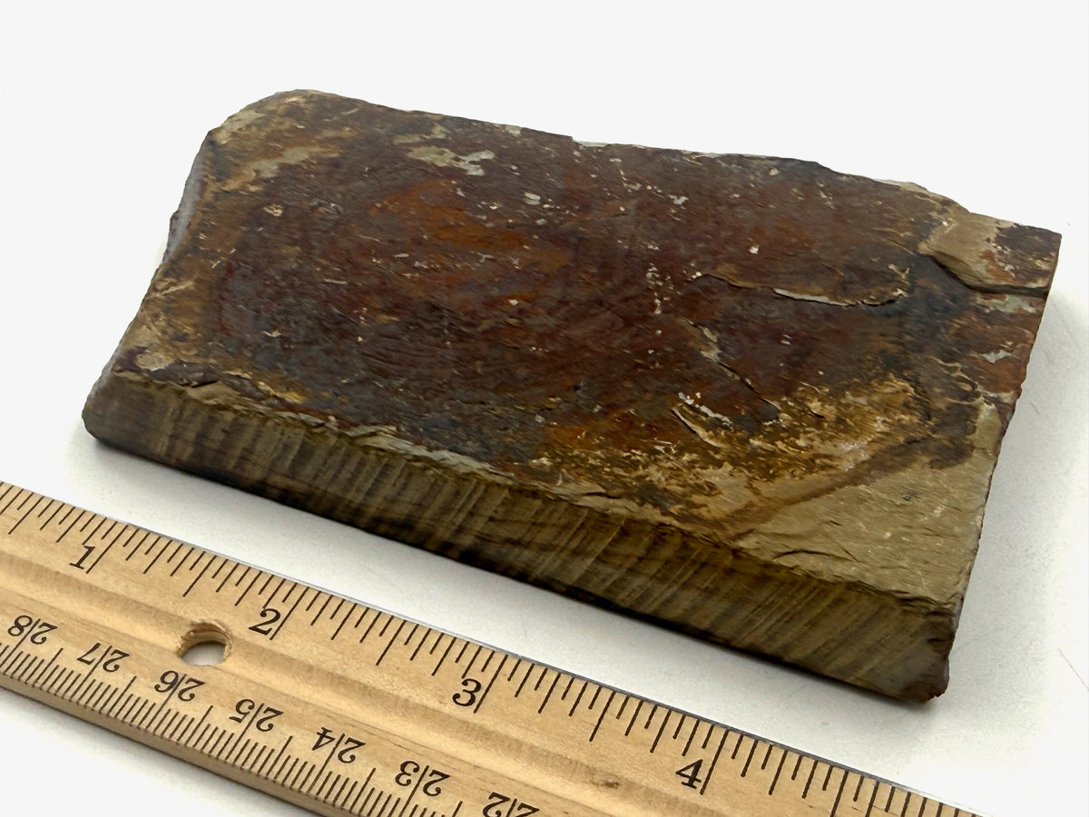 Nakayama Maruka Kiita Iromono Nashiji (Kato Era) Very Rare Japanese Natural Finishing Whetstone