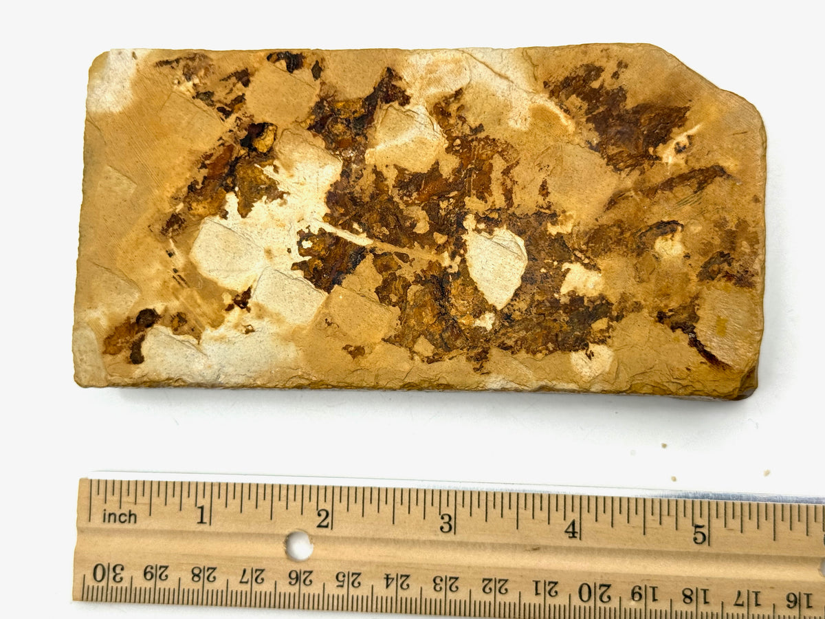 Nakayama Maruka Namito Azuki Namazu (Kato Era) Very Rare Japanese Natural Finishing Whetstone