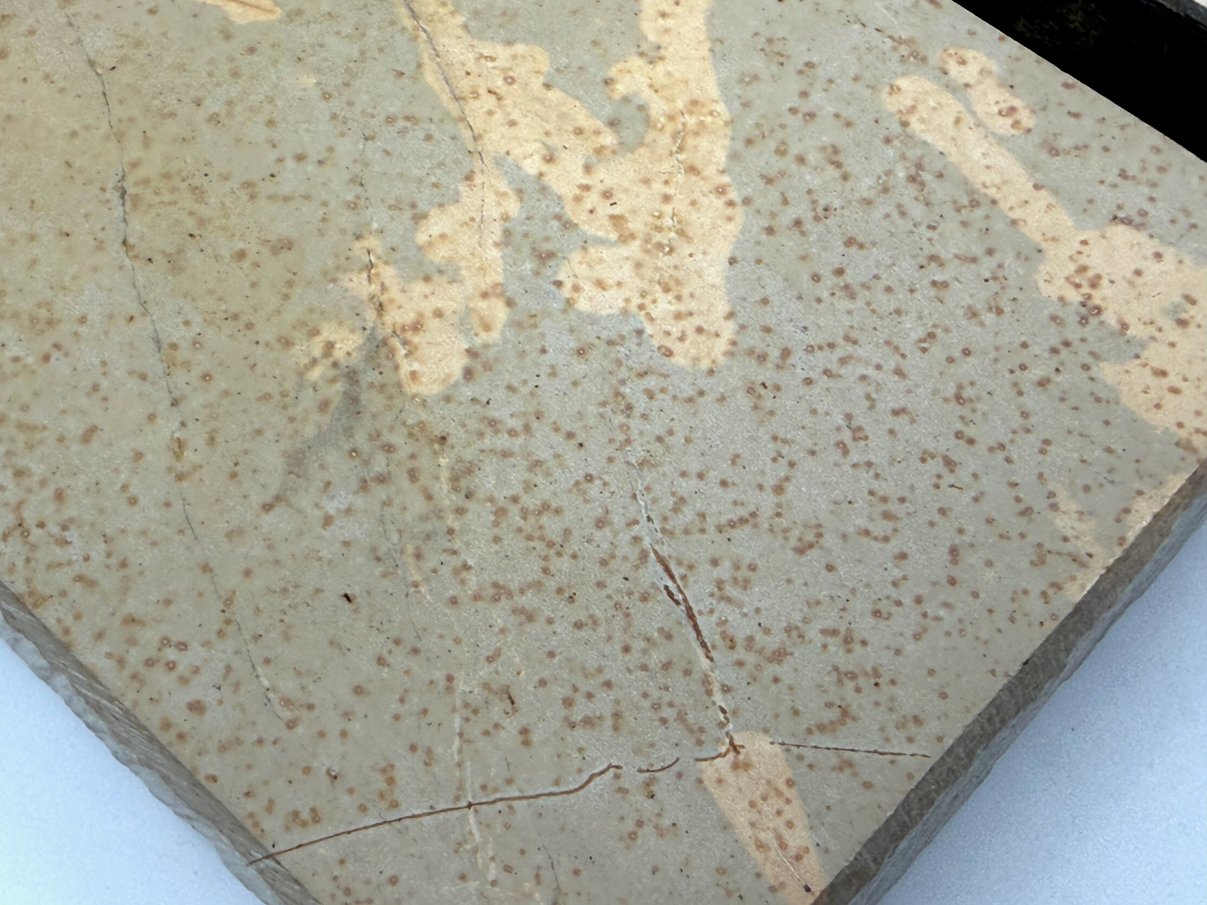 Hatanaka Narutaki Tenjou Suita Namazu Rare Japanese Natural Finishing Whetstone