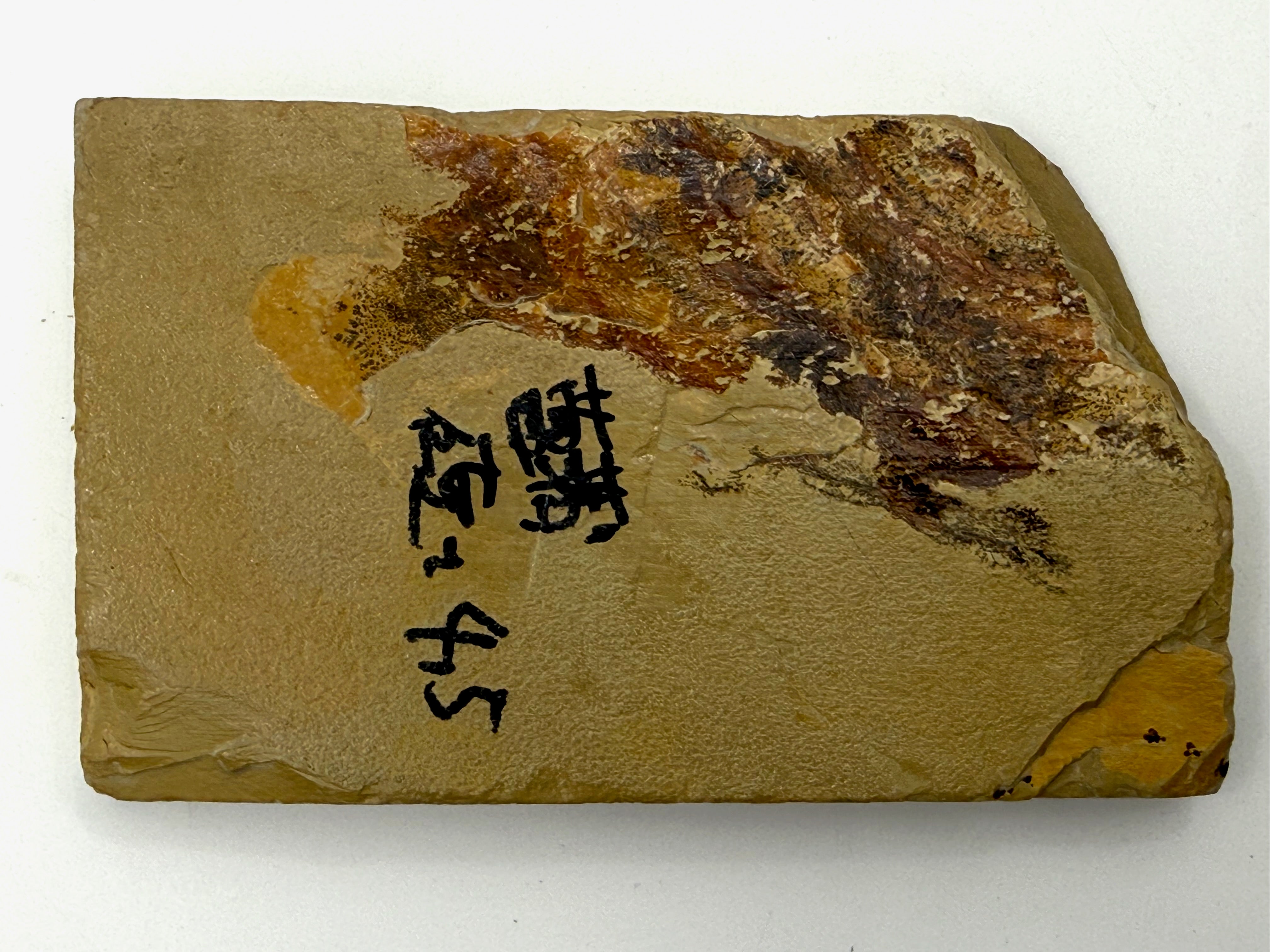 Nakayama Tomae Japanese Natural Finishing Whetstone