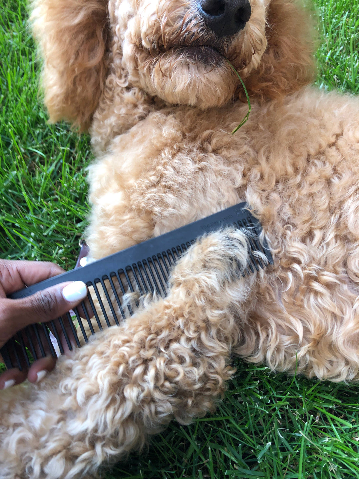 Chicago Comb Co. - The Pet Comb